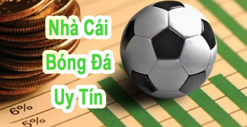 Tổng hợp các trang cá cược bóng đá uy tín dành cho tân thủ