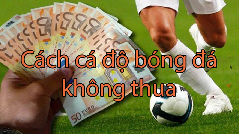 Bật mí cách cá độ bóng đá không thua cực kỳ hiệu quả