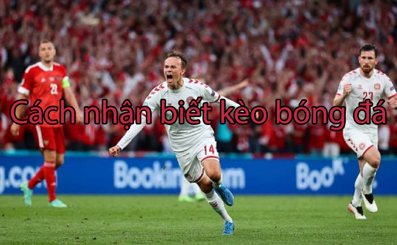 Hướng dẫn cách nhận biết kèo bóng đá chuẩn nhất hiện nay