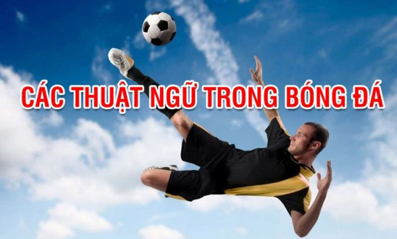 Tổng hợp các thuật ngữ bóng đá cần biết khi chơi cá độ trực tuyến