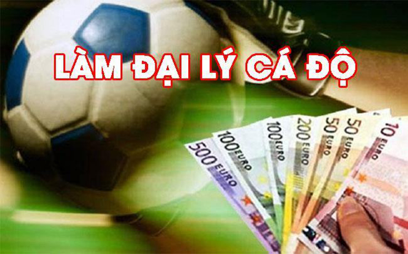 Làm đại lý cá độ bóng đá online có thực sự khó hay không?