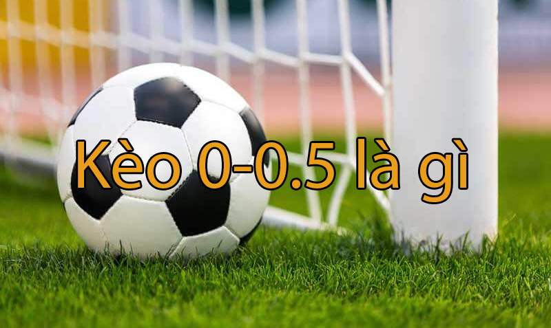 Kèo 0-0.5 là gì? Cách đọc kèo chấp 0/0.5 trái dành cho tân thủ