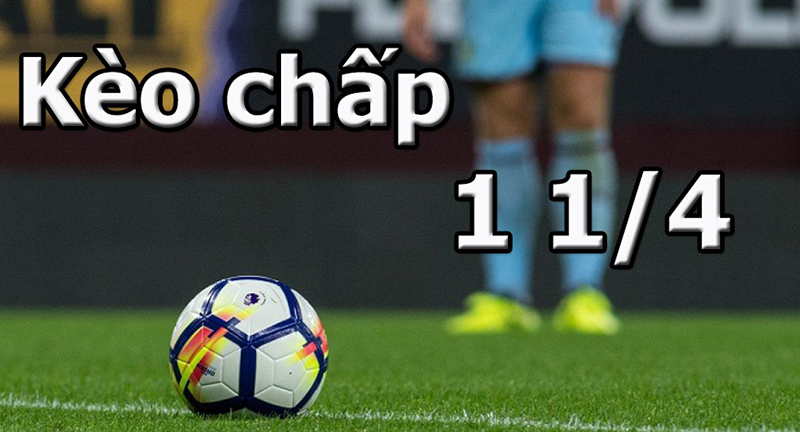 Kèo chấp 1 1/4 là gì? Chia sẻ cách đọc tỷ lệ kèo chấp 1 1/4 trong bóng đá
