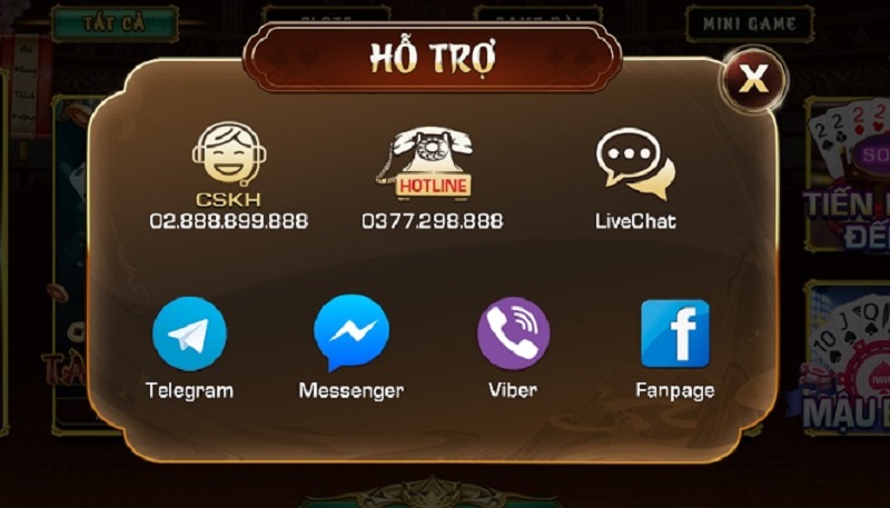 YoWin Club YoWin Club