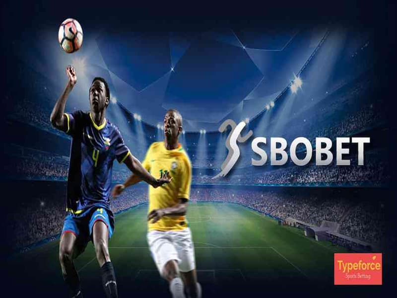 Cược thể thao với rất nhiều bộ môn thi đấu có tại Sbobet